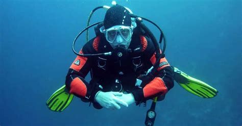 Scuba Diving In Victoria: A Must-Have Experience For You