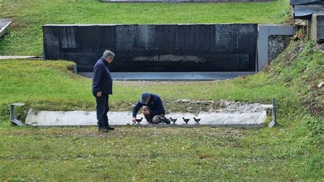 Arbeitstag im Selgis vom 23.10.2023 – VEREIN SCHWEIZER ...