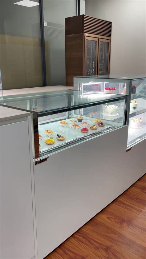 Bolandeng Aged Beef Ager Machine Meat Curing Cabinet Steak Age Fridge ...