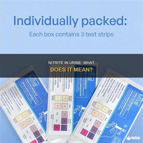 Nitrites In Urine Means