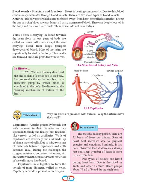 Image result for 8th Standard Science Guide