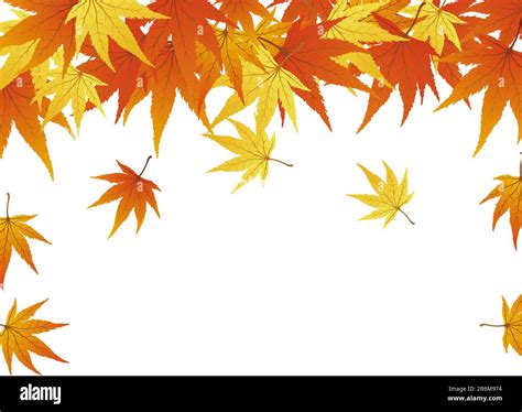 Pattern of autumn maples leaves. Vector illustration Stock Vector Image ...