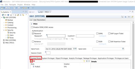 Create a New User and Assign Permissions | SAP Tutorials