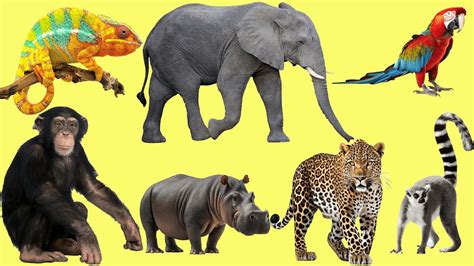 Image result for Popen Python Example