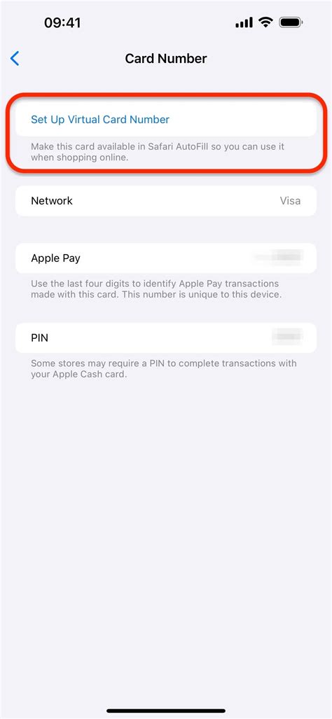 Set Up a Virtual Card Number for Apple Cash on Your iPhone to Use Where ...
