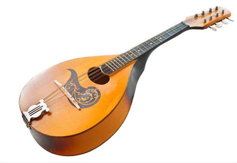 The mandolin | Musical instruments, Music instruments, Mandolin