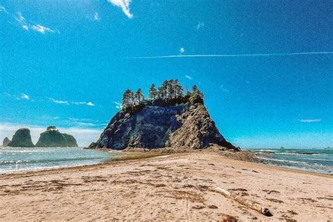(2026 Tickets) 3-Day Olympic Backpacking - The Ozette Coast - with Reviews