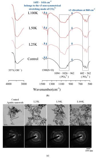 Strength and Biocompatibility of Heparin-Based Calcium Phosphate Cement ...