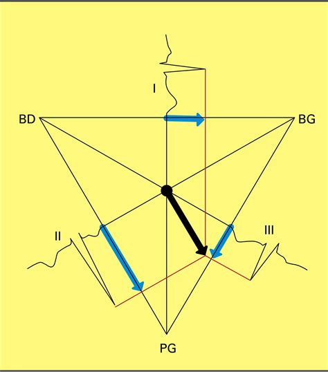 Triangle d'Einthoven - vue 1 - Média - Encyclopædia Universalis