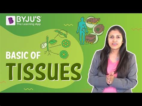 Image result for Tissues Class 9 Notes Byjus