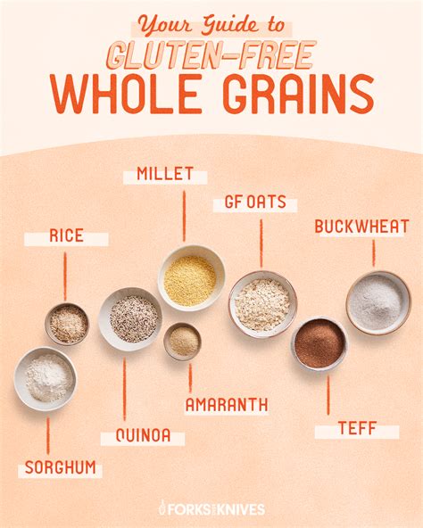 Your Guide to Whole Grains | Gluten free grains, Gluten sensitivity, Gluten free