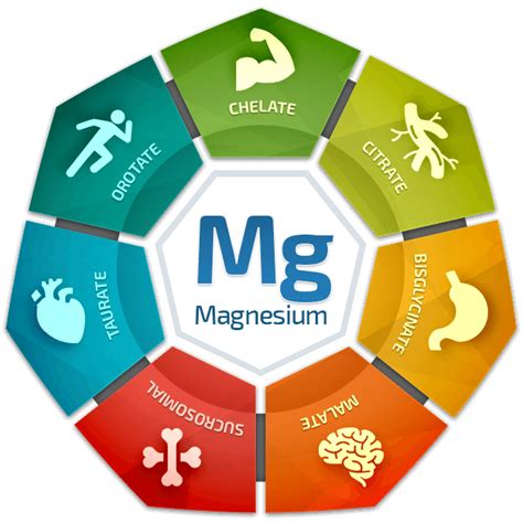 Image result for Bioptimizers Magnesium Breakthrough