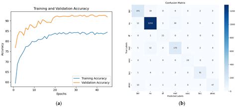 Multi-Scale Fusion MaxViT for Medical Image Classification with ...