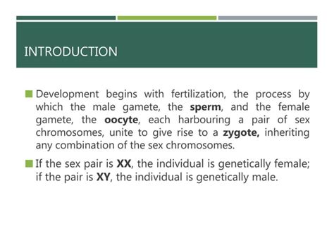 Image result for Developing Female