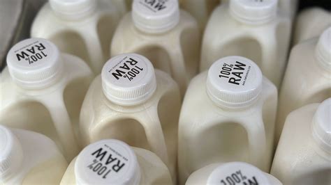There's Bird Flu in U.S. Dairy Cows. Raw Milk Drinkers Aren't Deterred ...
