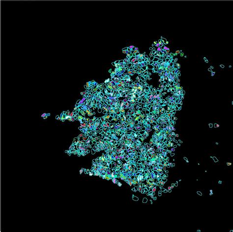 ImageJ Colocalization Analysis 的图像结果