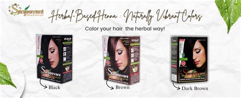 Buy Sanjeevani Natural Herbal Based Brown Henna Powder for Hair ...