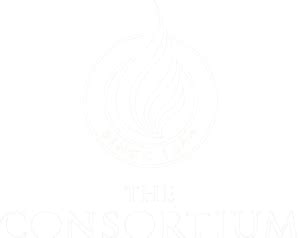 Consortium MBA Application 的图像结果