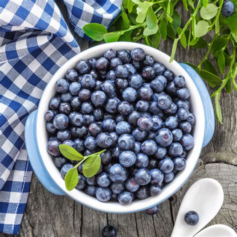 Blueberry – EAT.