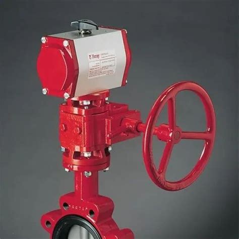 Rotex Valve Automation System - Rotex Pneumatic Actuator Wholesale ...