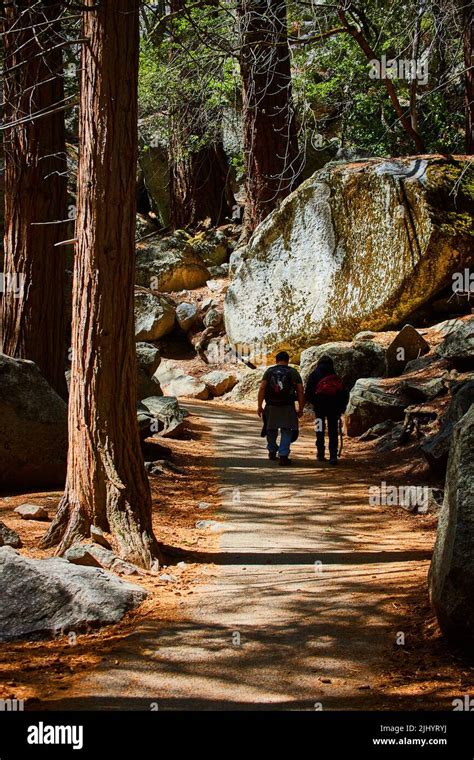 Image result for Two Tree Hiking