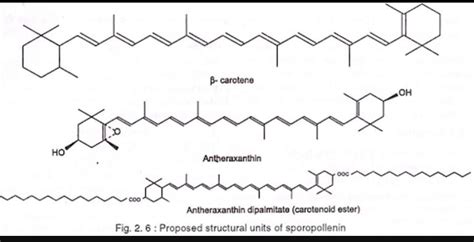 what is sporopollenin?? - Brainly.in