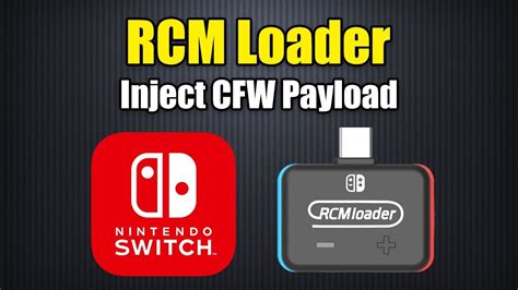 RCM Loader Tutorial 的图像结果