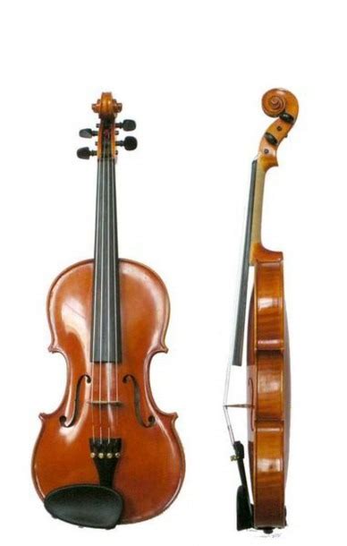 Image result for String Instruments Violin