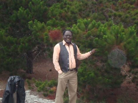 Barrel of the Pen eBook : Vakunta, Peter Wuteh : Amazon.in: Kindle Store