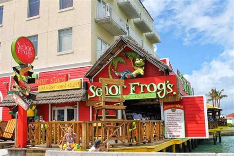 Nassau Senor Frog's Food and Drink Package with Transportation 2024 ...
