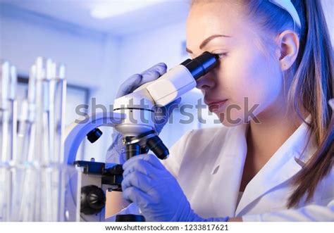 Scientist 的图像结果