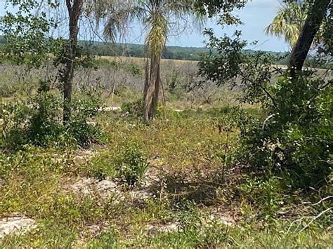 MOUNTAIN DRIVE, Babson Park, FL 33827 | MLS: P4930135 | Land and Farm