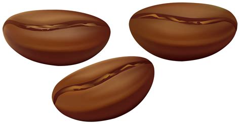 Free Coffee Bean Cliparts, Download Free Coffee Bean Cliparts png ...