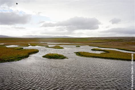Blog officiel du district de Kerguelen - TAAF: Le réseau d'eau de Port ...
