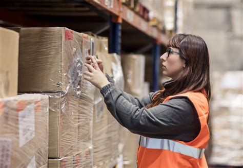 Image result for Gsin Script