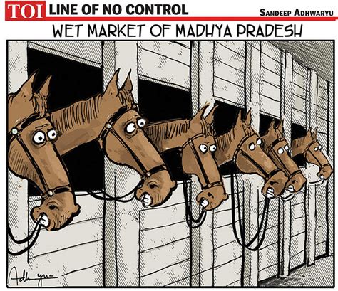 Wet Market Of MP |The Times of India