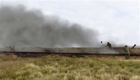 Image result for Fire Studio 7 Tutorials