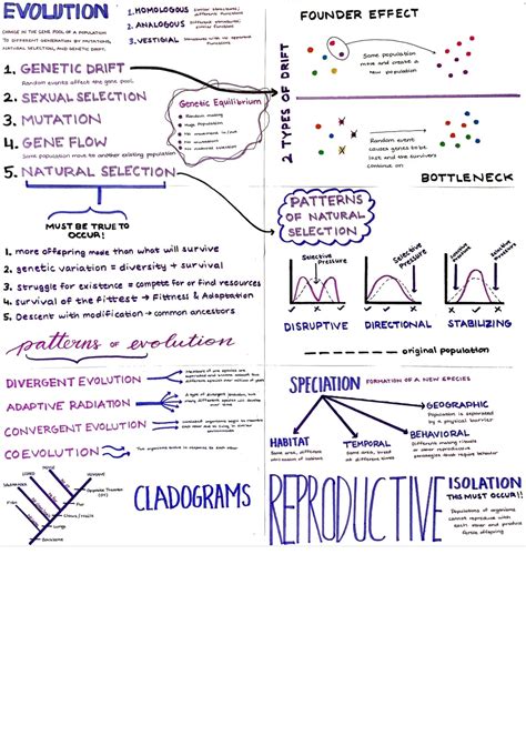 Biology Evolution Concept Map 9th Grade - Biology - Stuvia US