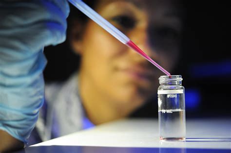 Image result for Scientific Method List