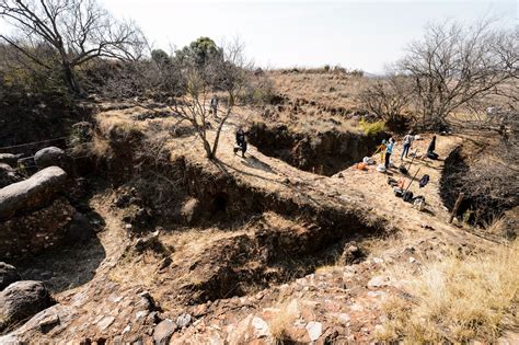 Image result for Humankind Seeds