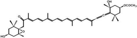 Anti-Obesity Activity of the Marine Carotenoid Fucoxanthin
