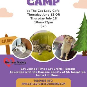 Cat Camp! Kids ages 8-12, 401 E. Colfax Ave. Suite 104, South Bend, IN ...