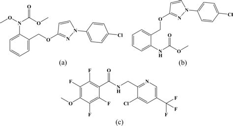 Image result for Pybrop