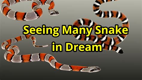 Top 3 Meaning of Seeing a large number of snakes in dream - Dream meaning