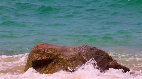 Image result for Free Beach Video Loop Download