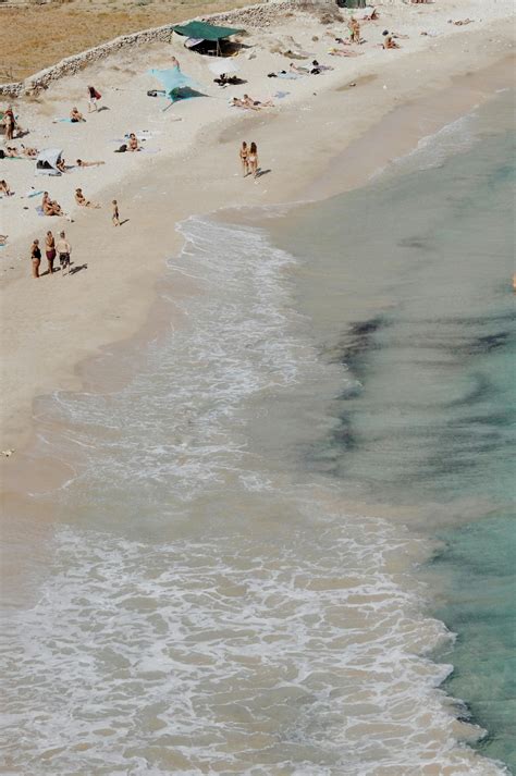 Swimming in Beach 的图像结果