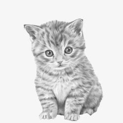 手绘线条猫咪画图片免费下载_手绘线条猫咪画素材_手绘线条猫咪画模板-新图网