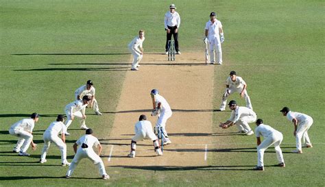 Learn The Names & Role of All Cricket Fielding Positions