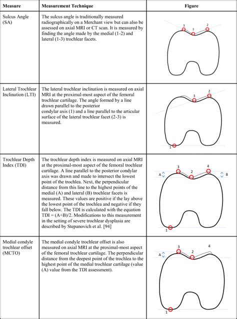 Image result for Trochlear Function
