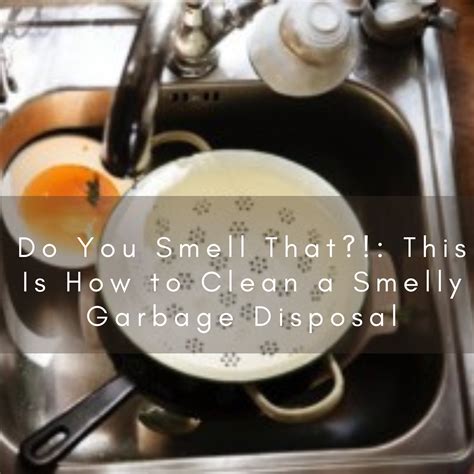 This Is How to Clean a Smelly Garbage Disposal